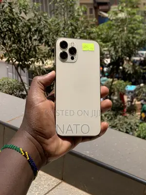 Apple iPhone 12 Pro Max 256 GB Gold