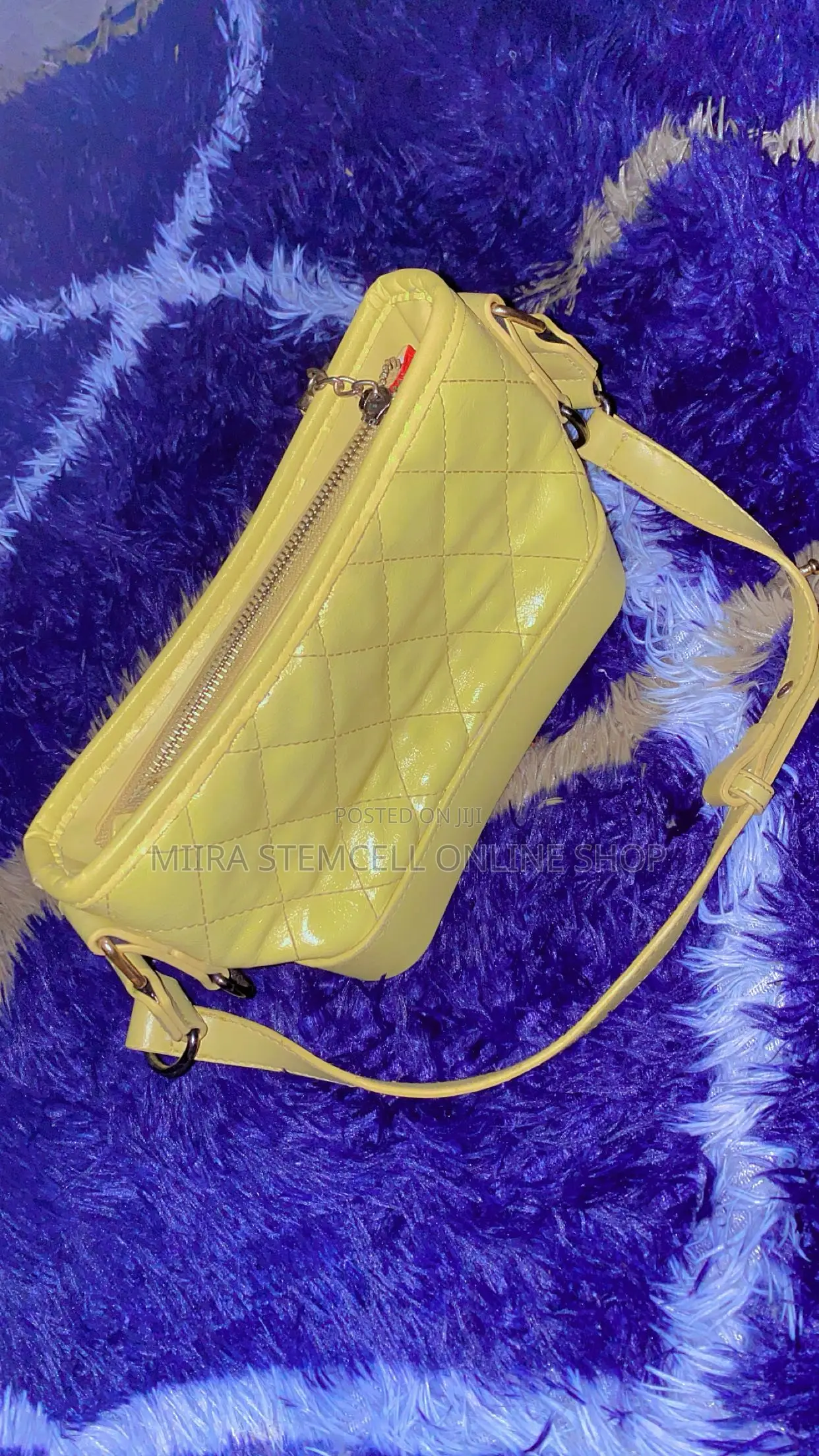 Second Hand Lady Bag