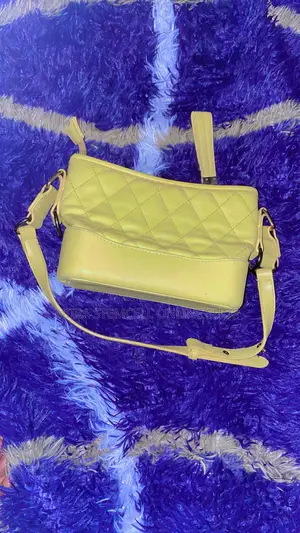 Second Hand Lady Bag
