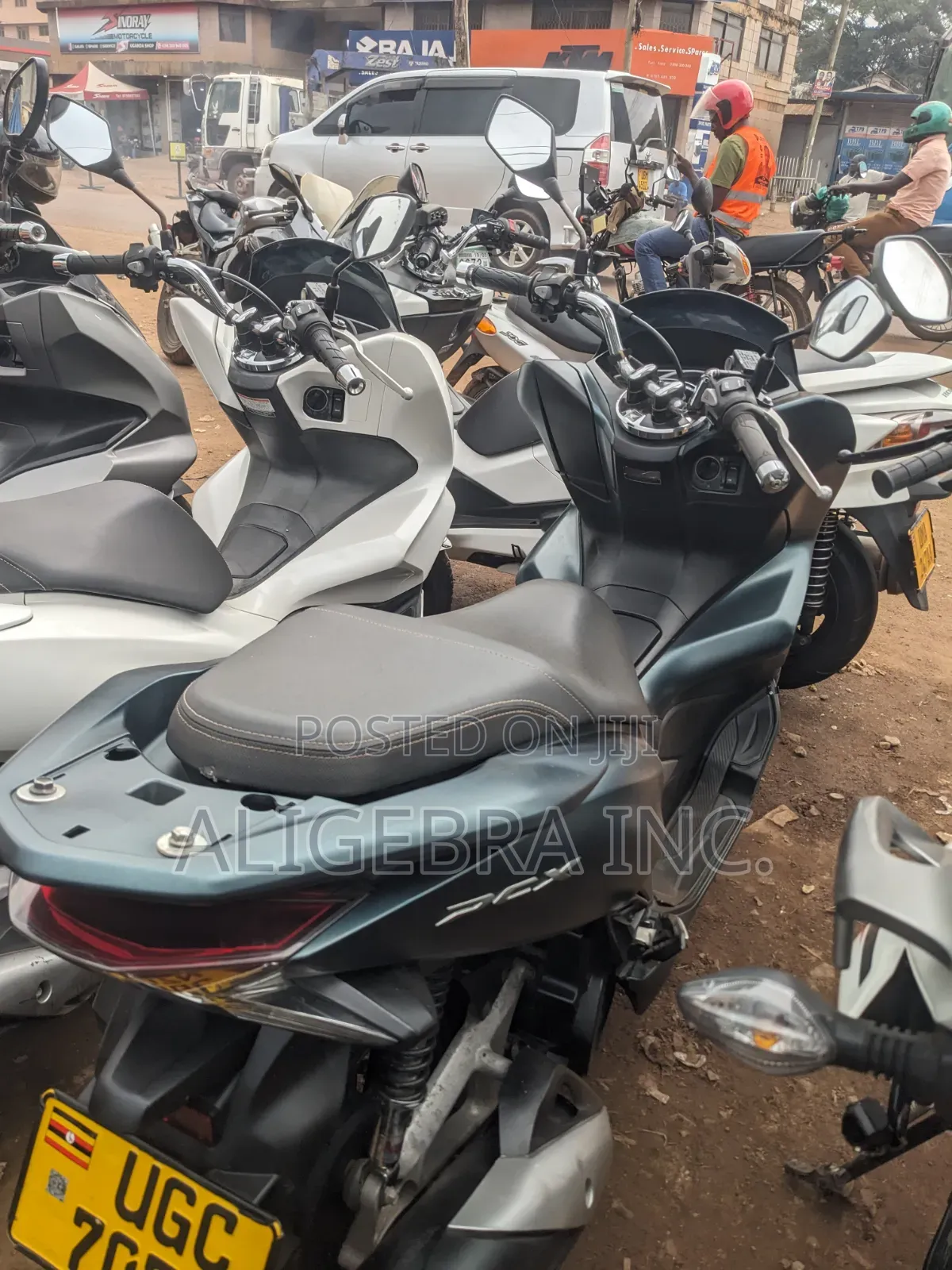 New Honda 2026 Green