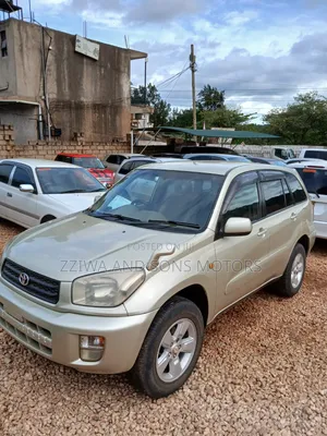 Toyota RAV4 1.8 2004 Gold