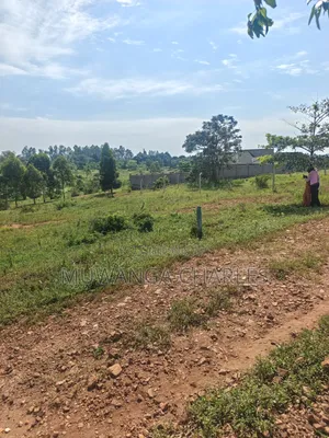 Plots on Sale at Kiwenda Luwunga