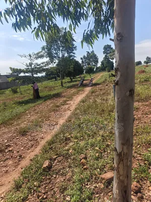 Plots on Sale at Kiwenda Luwunga