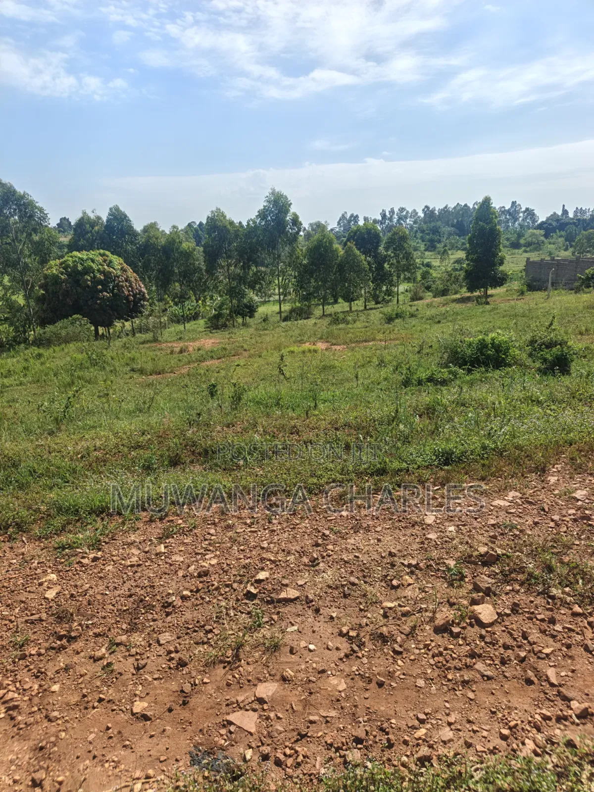 Plots on Sale at Kiwenda Luwunga