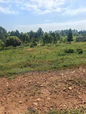 Plots on Sale at Kiwenda Luwunga