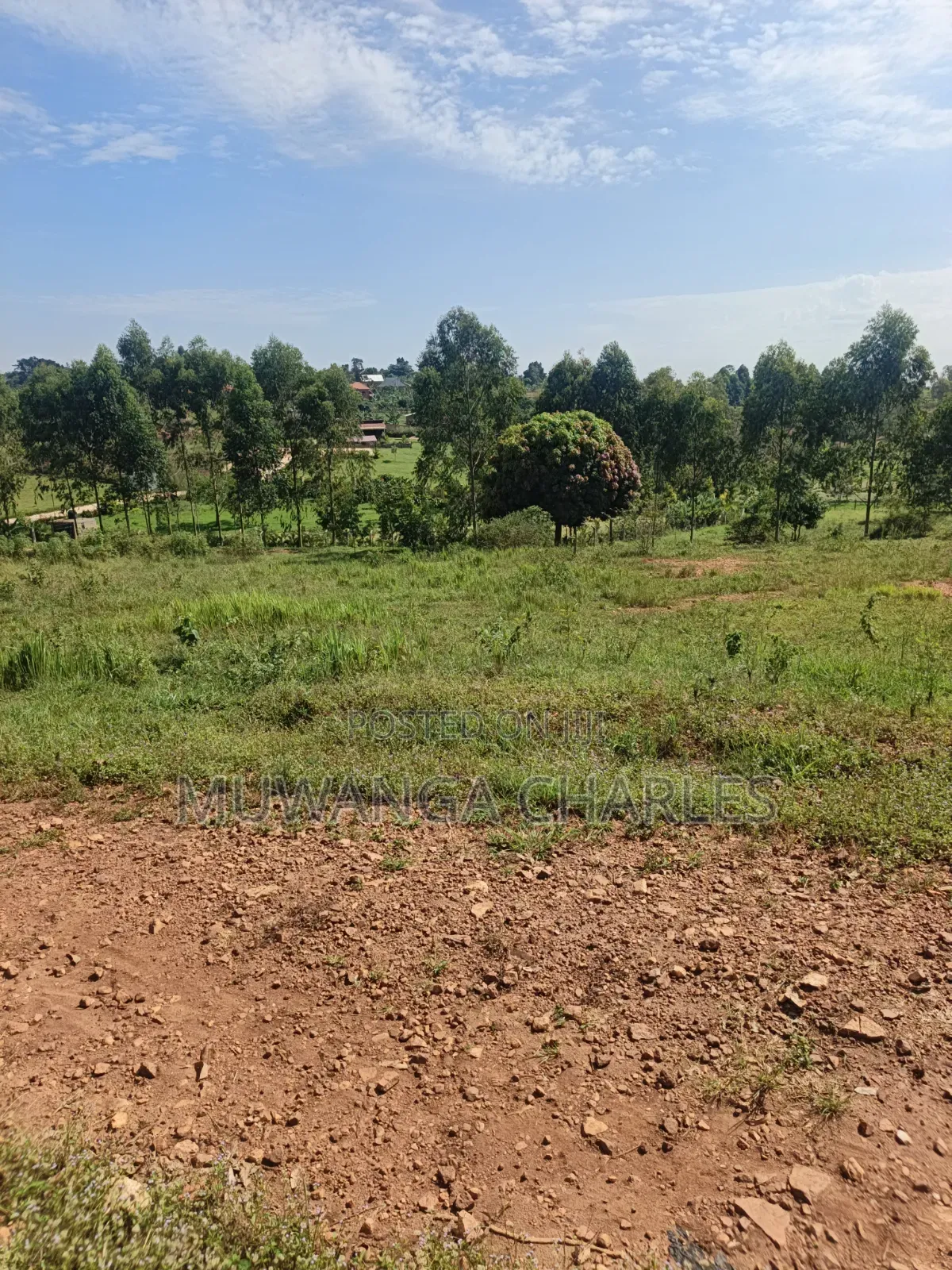 Plots on Sale at Kiwenda Luwunga