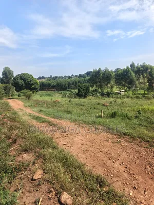 Plots on Sale at Kiwenda Luwunga
