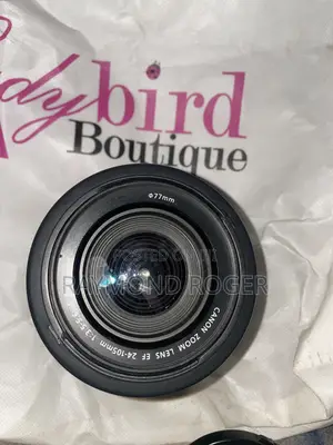 Canon Ef 24-105mm Zoom Macro Lens