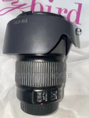 Canon Ef 24-105mm Zoom Macro Lens