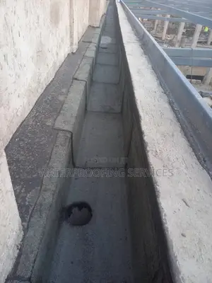 Roof Gutter Waterproofing Services