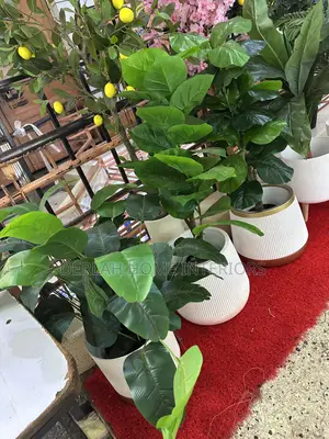 Medium Size Artificial Plants and Flowers