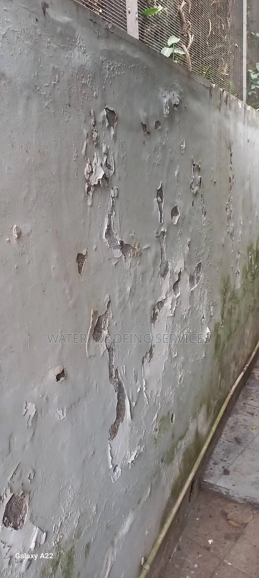 Dampness Waterproofing Services