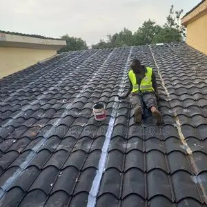 Residential Roof Waterproofing | Repainting Services