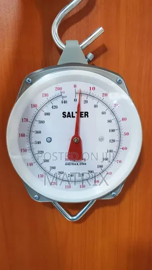 Salter Light Duty Weighing Scale