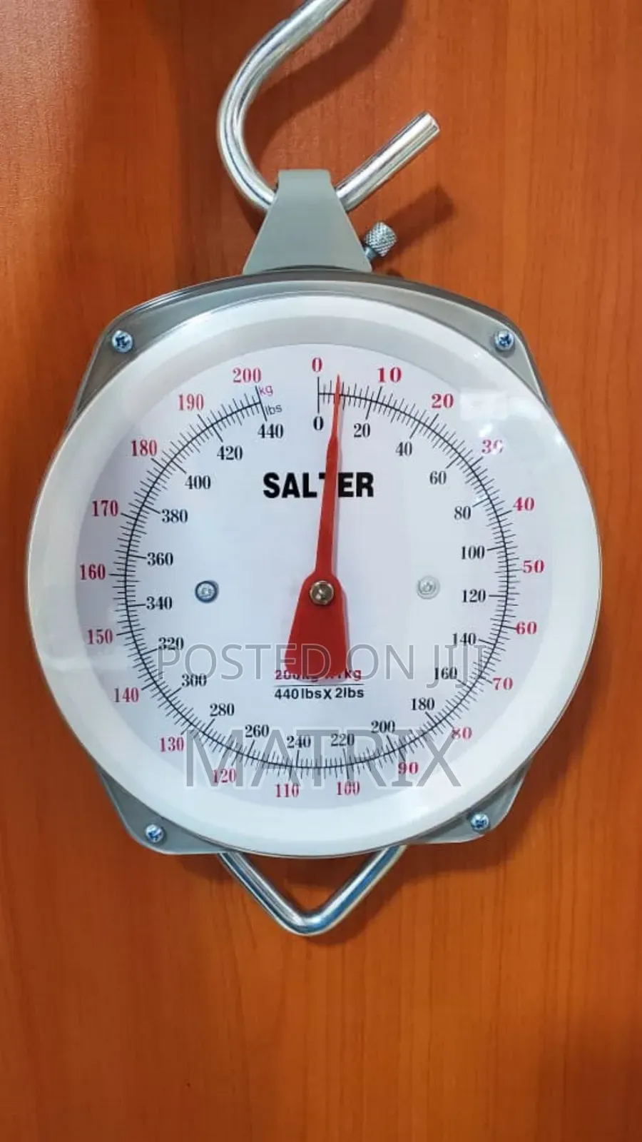 Salter Light Duty Weighing Scale