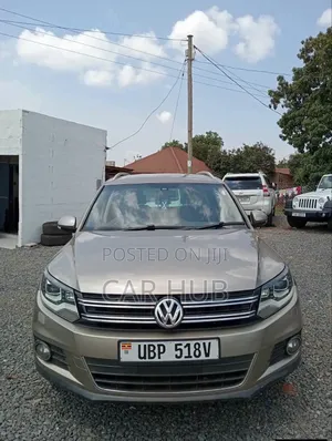 Volkswagen Tiguan 2013 Gray