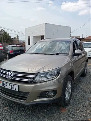 Volkswagen Tiguan 2013 Gray