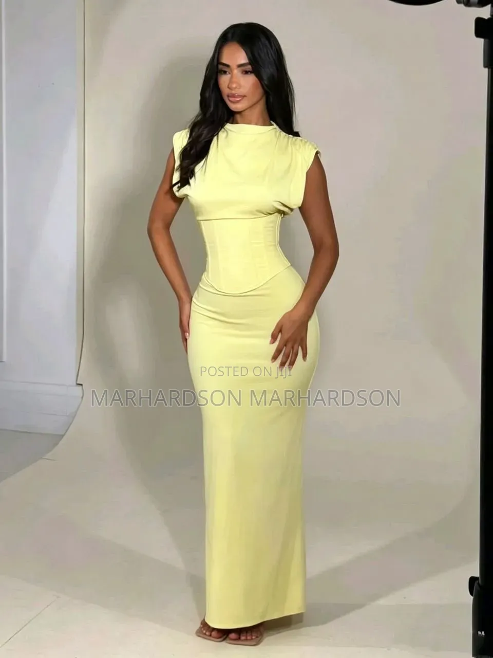 Elegant Dinner Lady Dresses