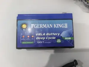 Battery (12V 7ah at 20hrs)