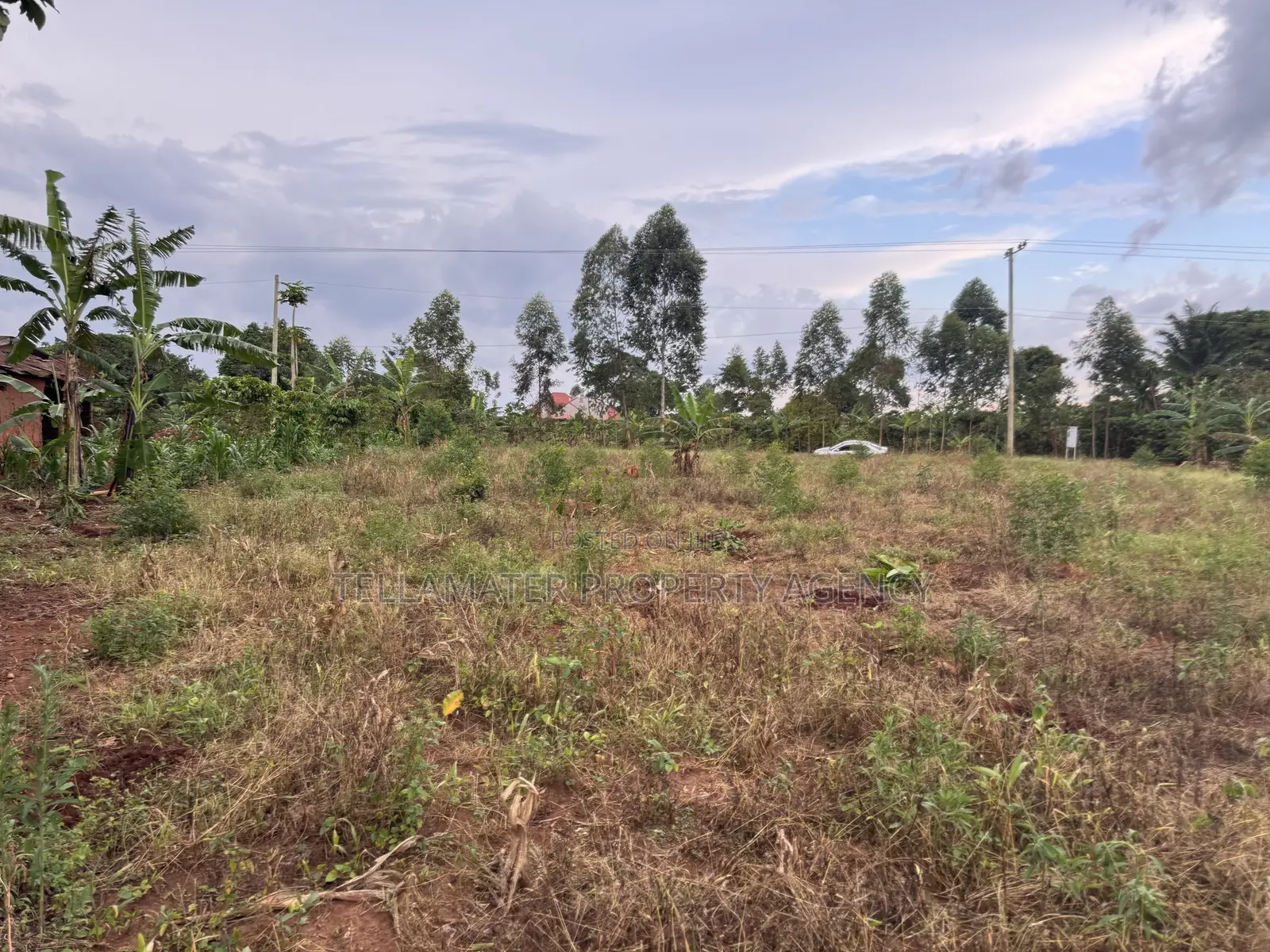 Nakifuma-Magogo Kigagga Estate Only 5 Plots Left