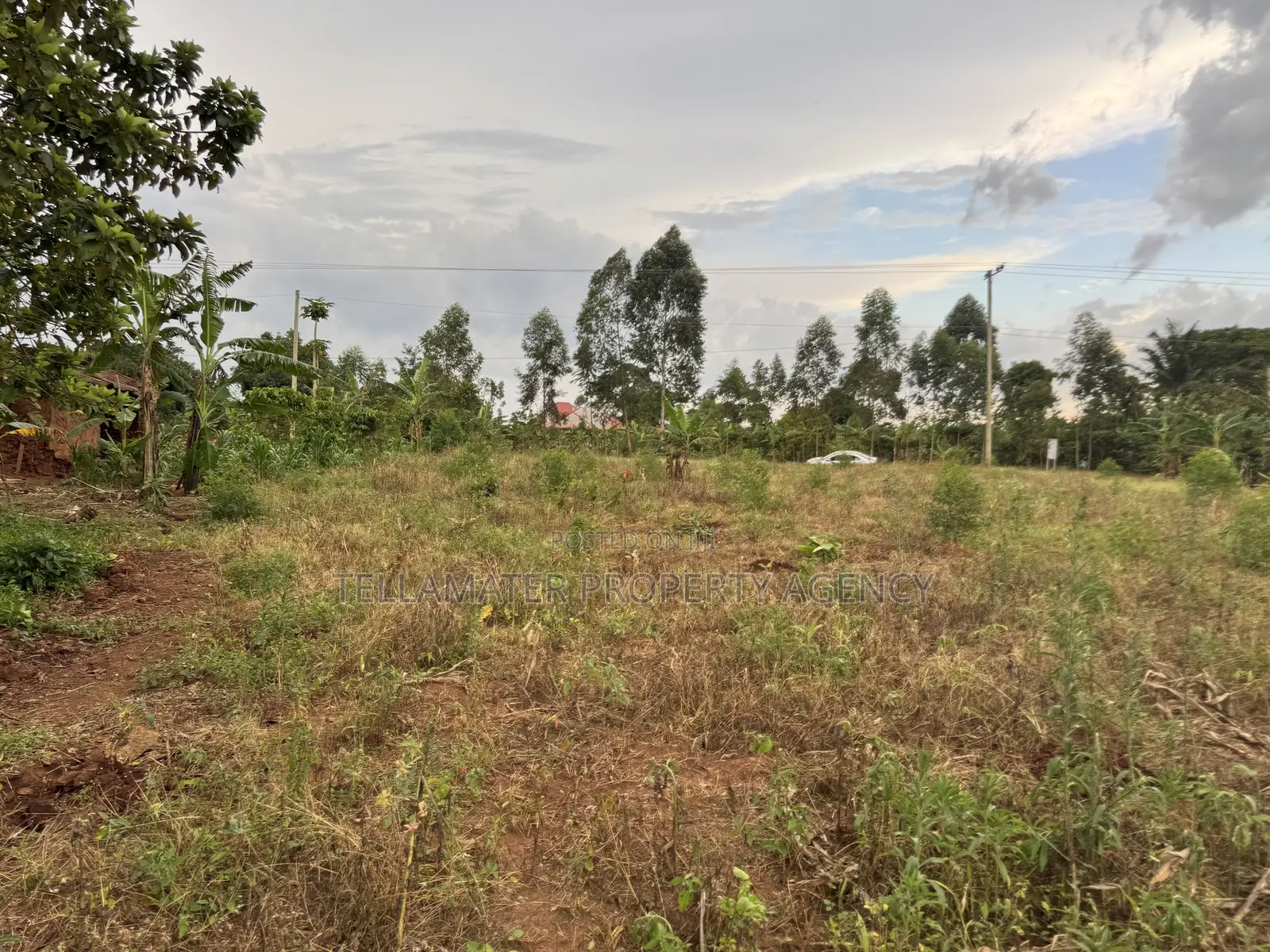 Nakifuma-Magogo Kigagga Estate Only 5 Plots Left