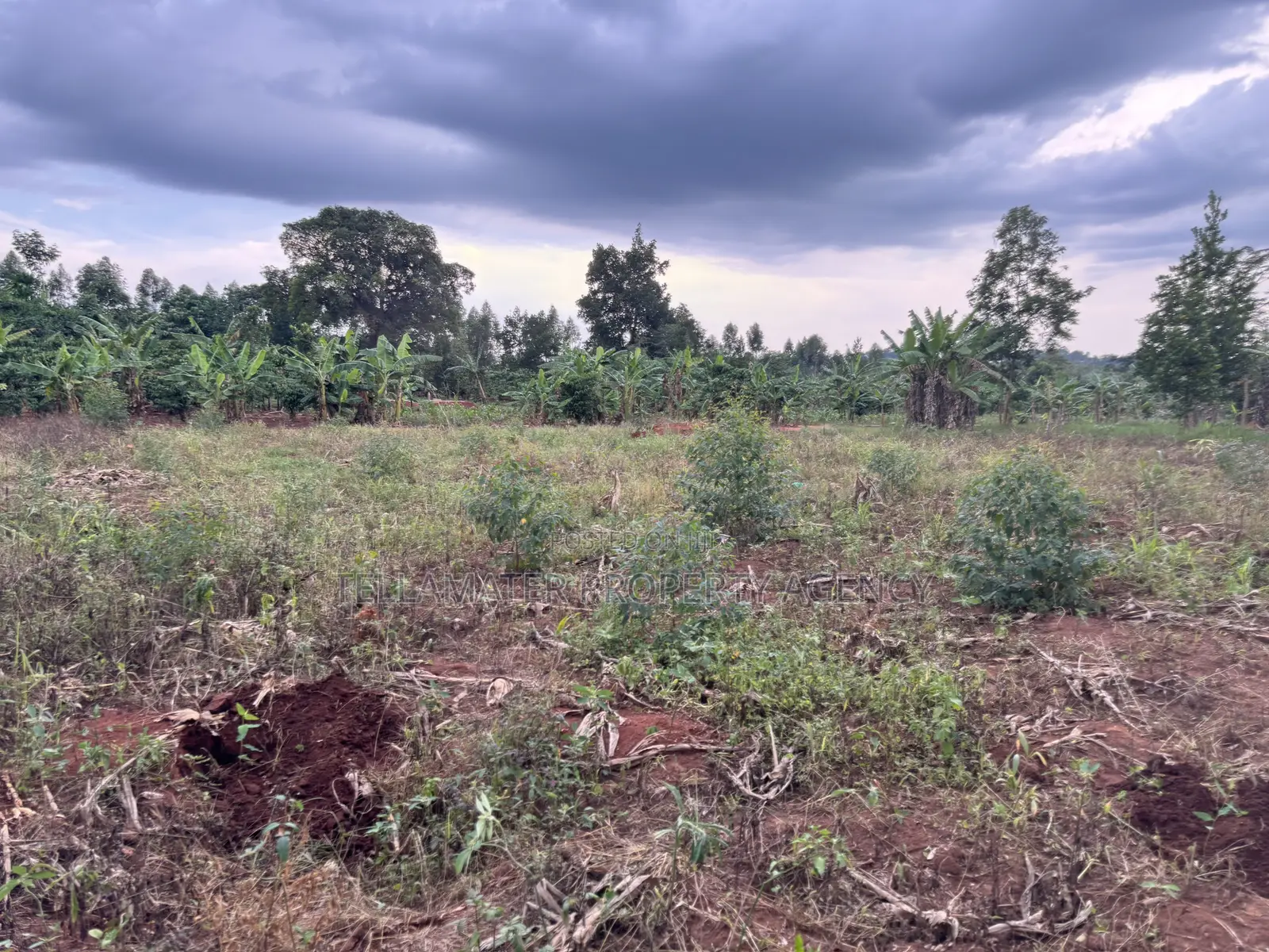 Nakifuma-Magogo Kigagga Estate Only 5 Plots Left