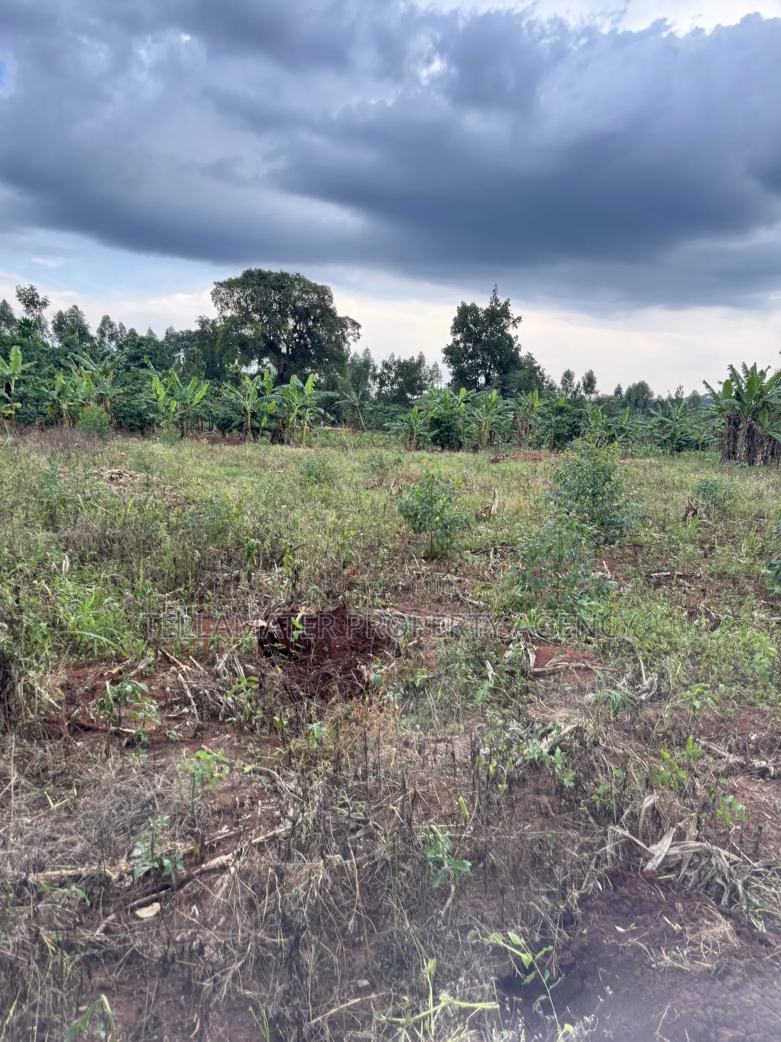 Nakifuma-Magogo Kigagga Estate Only 5 Plots Left