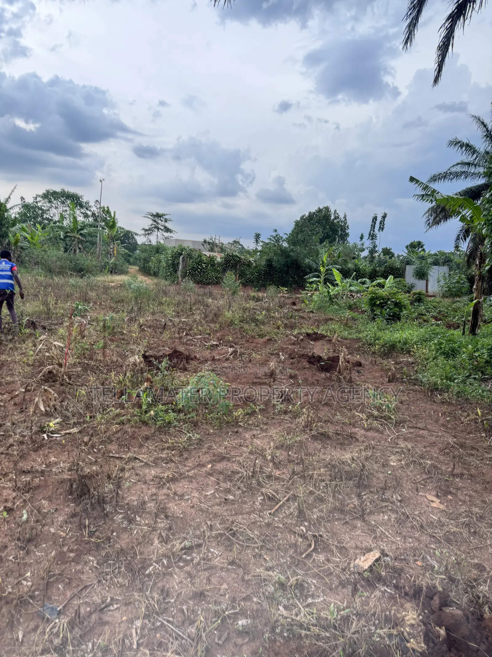 Nakifuma-Magogo Kigagga Estate Only 5 Plots Left