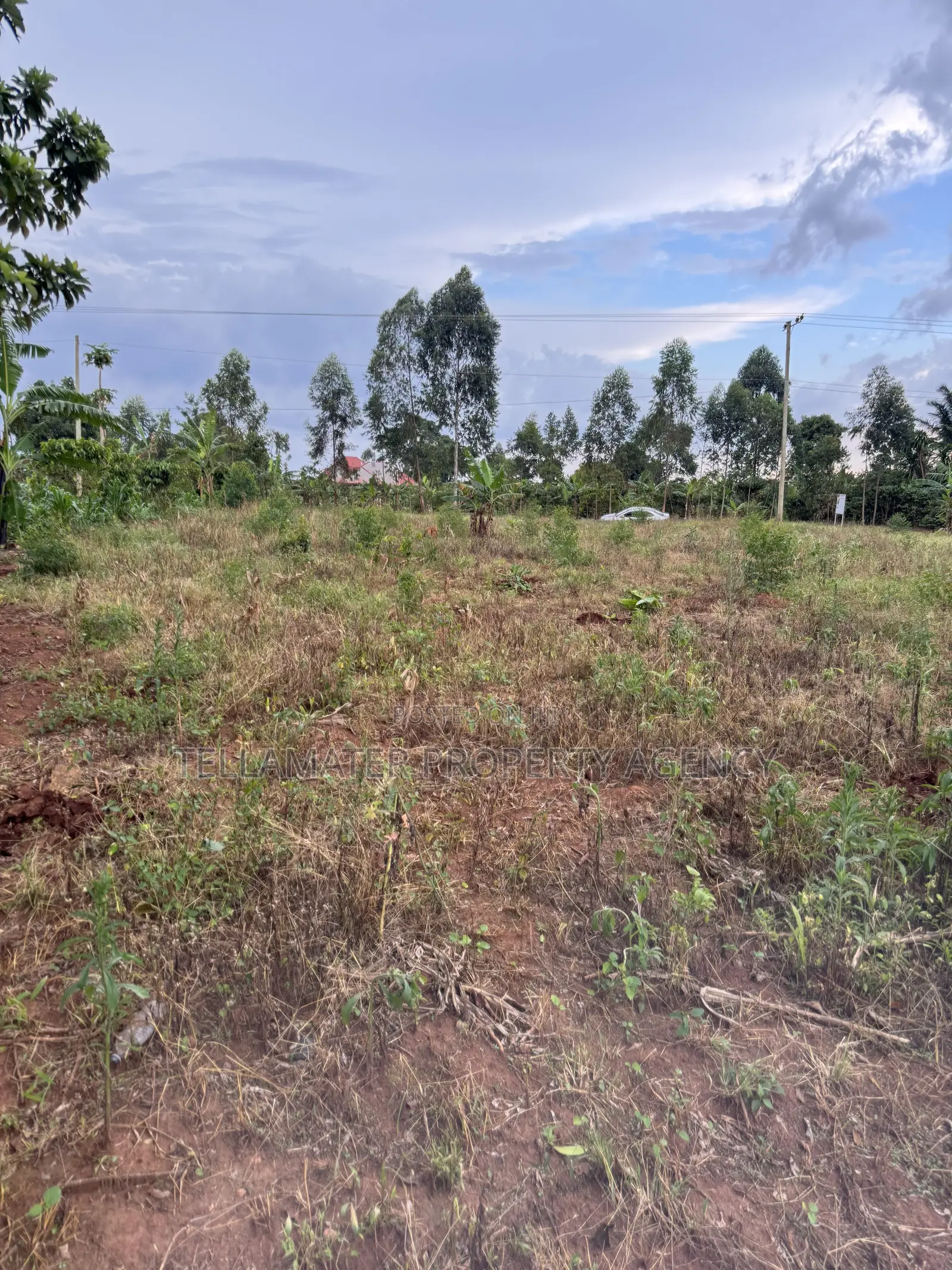 Nakifuma-Magogo Kigagga Estate Only 5 Plots Left