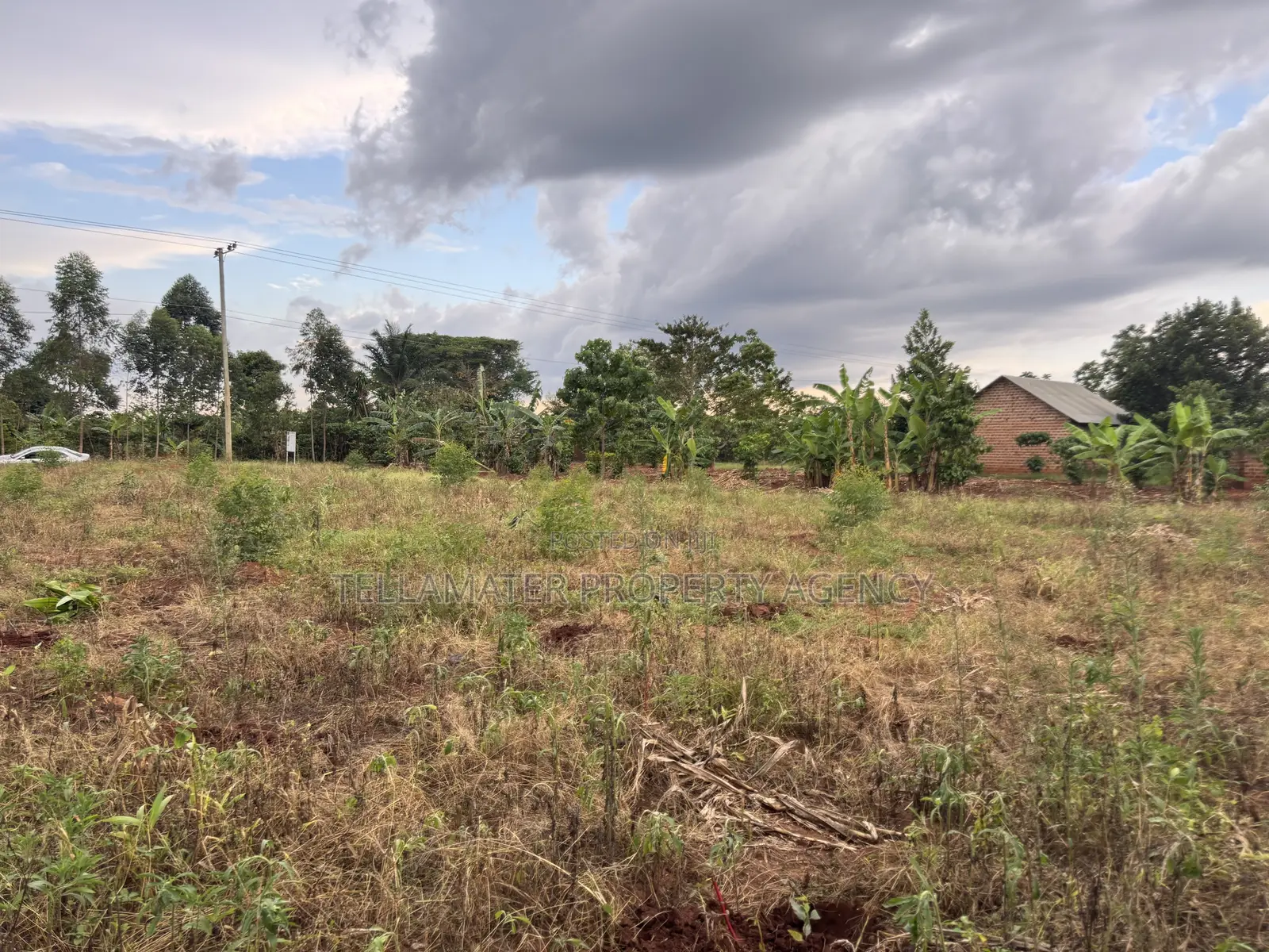 Nakifuma-Magogo Kigagga Estate Only 5 Plots Left