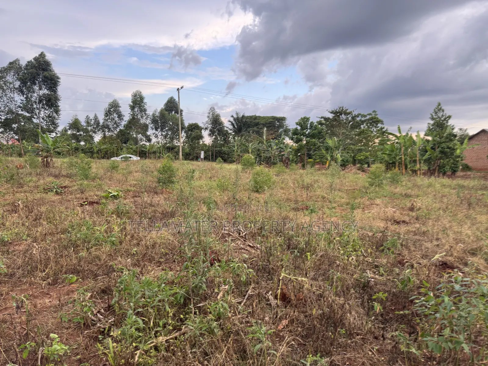 Nakifuma-Magogo Kigagga Estate Only 5 Plots Left