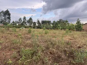 Nakifuma-Magogo Kigagga Estate Only 5 Plots Left