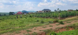 Kakiri Estate