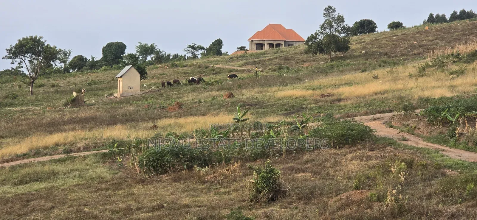 Namayumba Estate