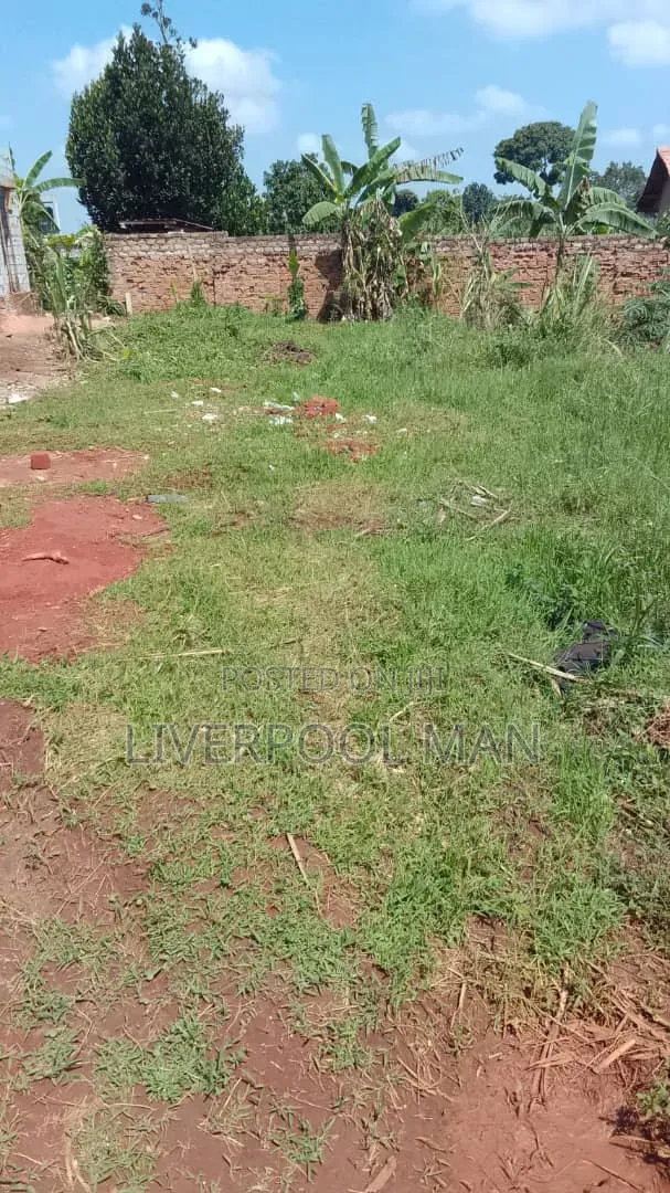 Plot of Land