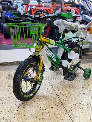 Bobby Baby Kids Bicycle