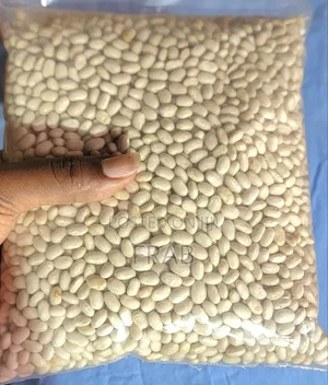 White and Yellow Beans
