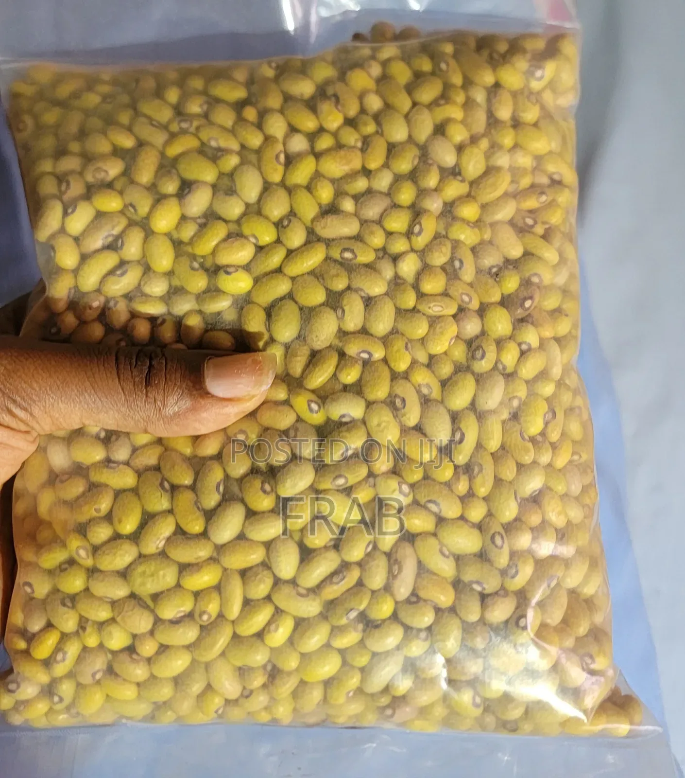 White and Yellow Beans