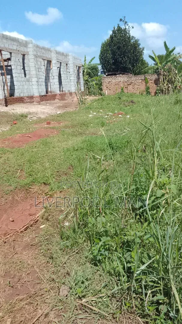 Plot of Land