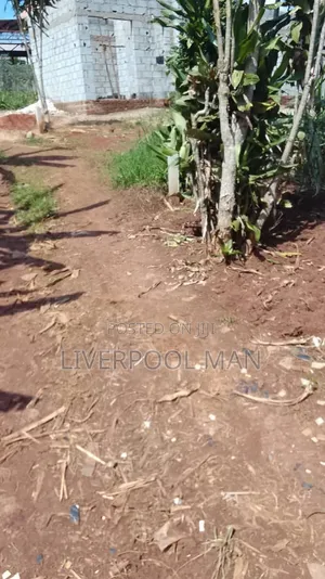 Plot of Land