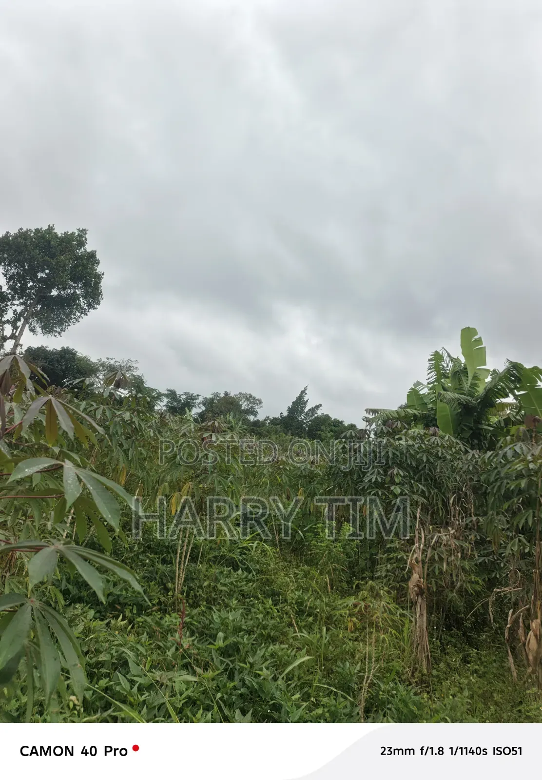 Land on Sale 1 Acre
