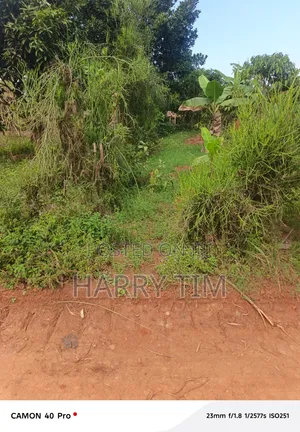 Plot on Sale 50X100 Sentema Road, Lukwanga, Nabikalu