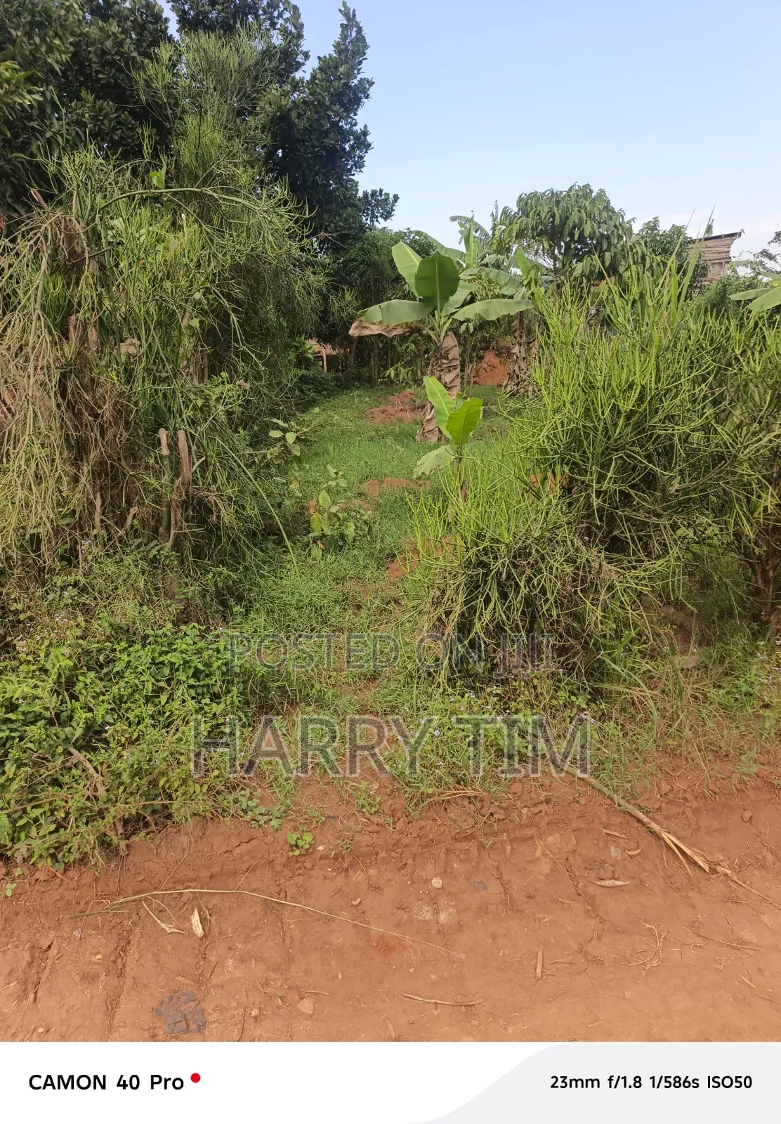Plot on Sale 50X100 Sentema Road, Lukwanga, Nabikalu