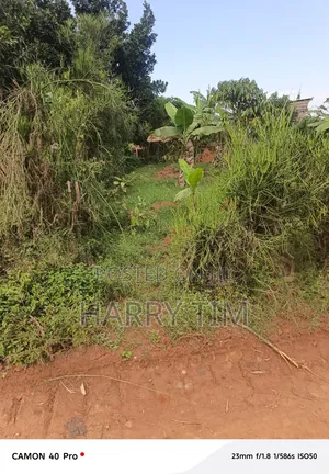 Plot on Sale 50X100 Sentema Road, Lukwanga, Nabikalu