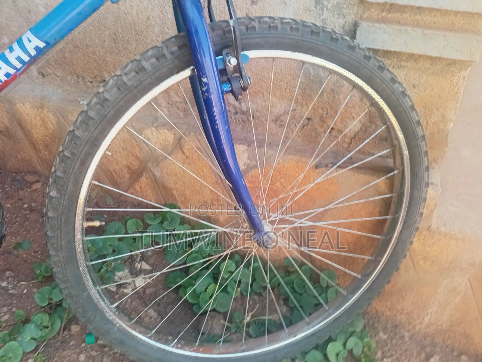 Refurbished Bicycle