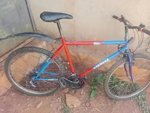 Refurbished Bicycle