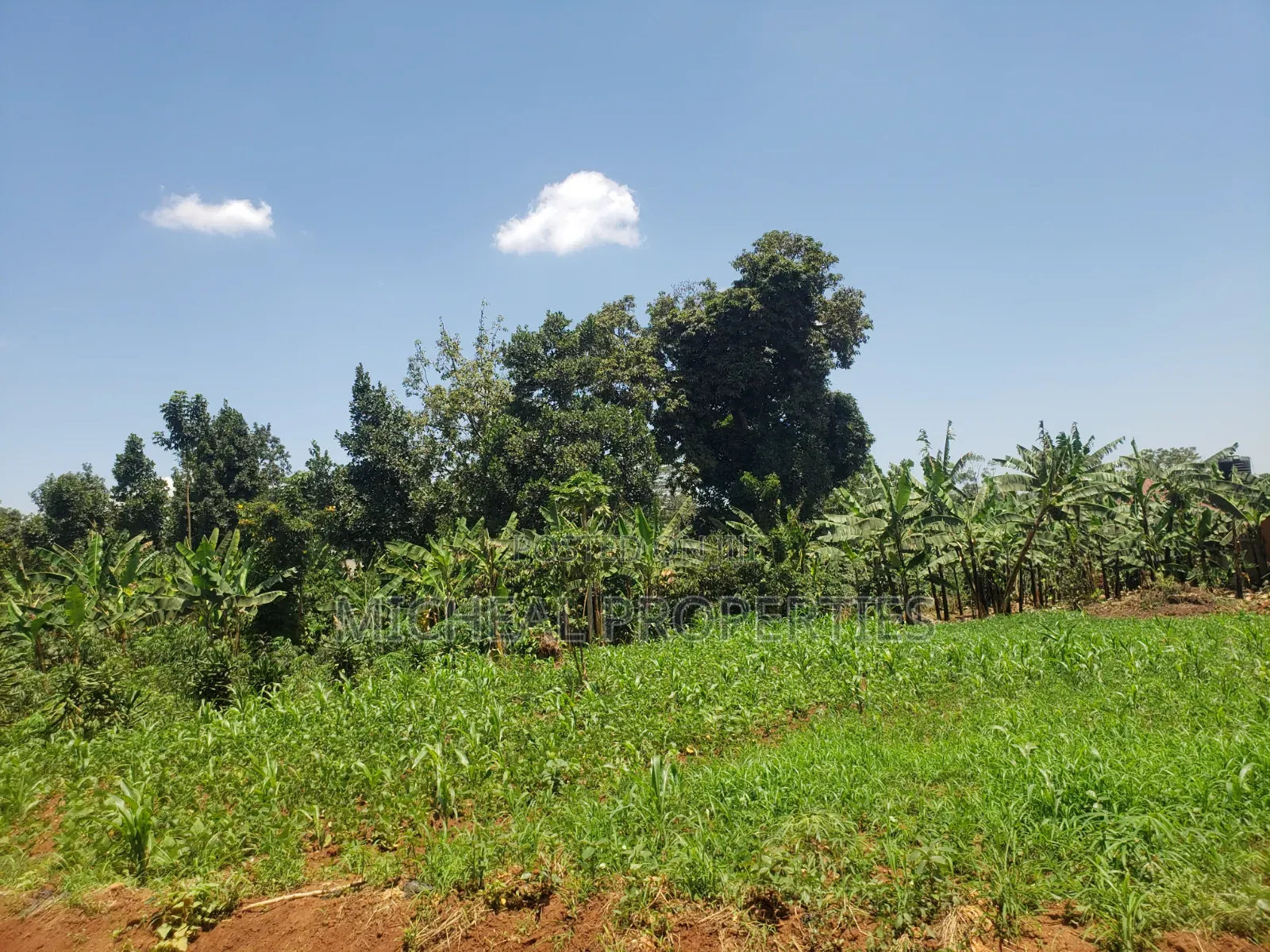 Plot for Sell Kitagobwa 50ft by 100ft at 80m