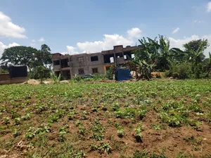Plot for Sell Mpelerwe Kitezi at 85m