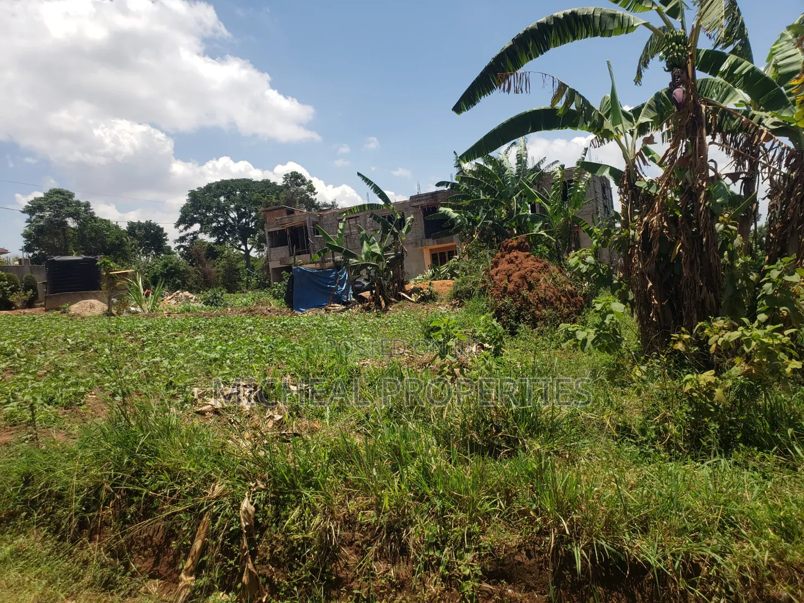 Plot for Sell Mpelerwe Kitezi at 85m