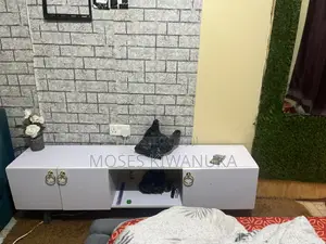 TV Stand Uses